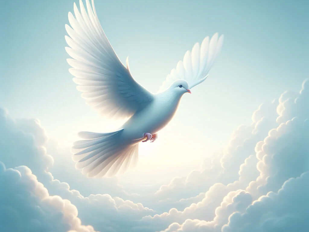 What is the Role of the Holy Spirit in this World