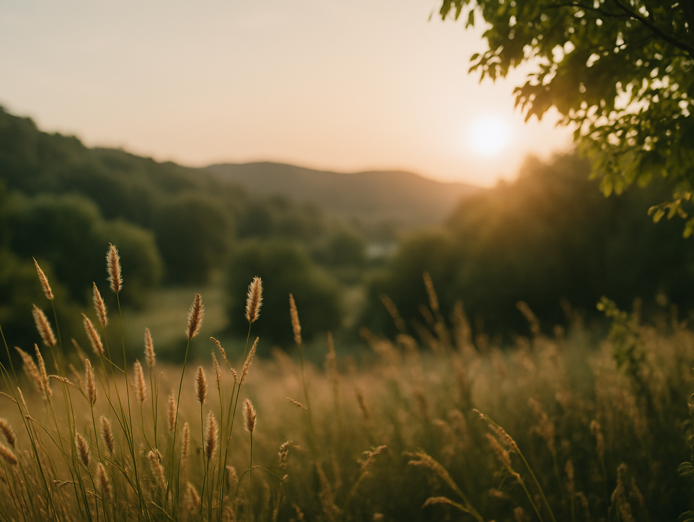 For I Know the Plans I Have for You – A Promise of Hope