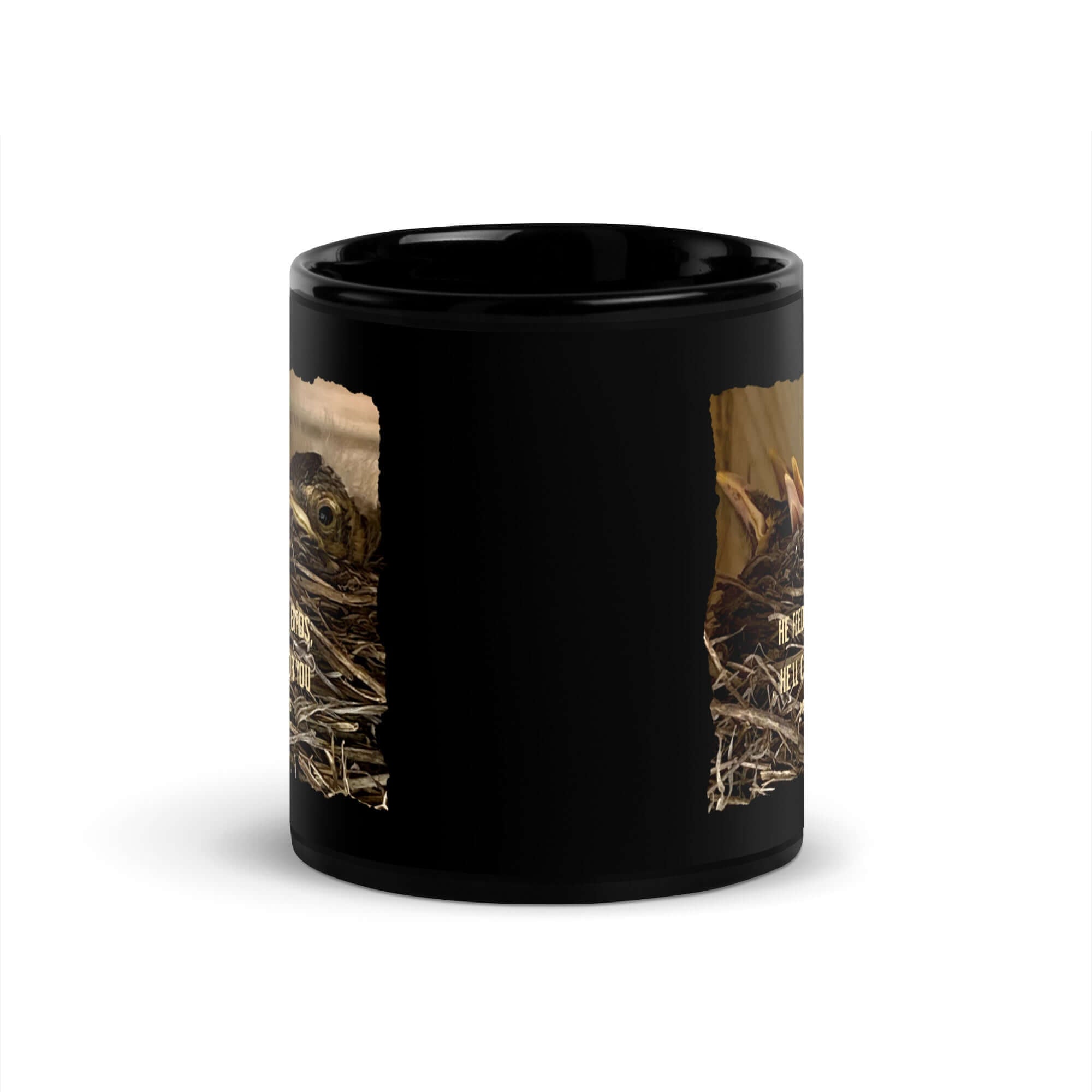 Matthew 6:26 Baby Robins, He'll Care for You Black Glossy Mug