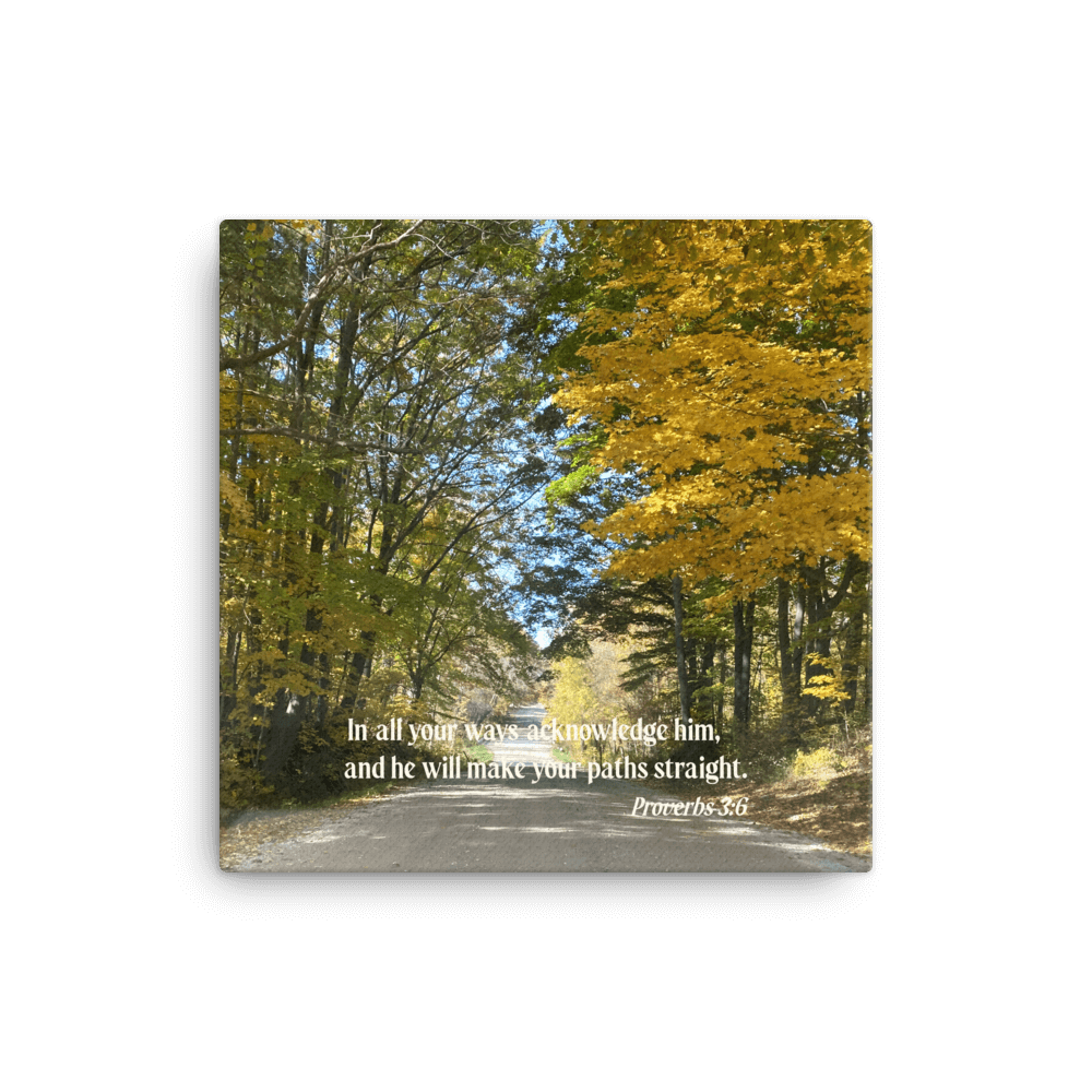 Proverbs 3:6 Bible Verse, Fall Road Canvas Print Wall Art 12″×12″