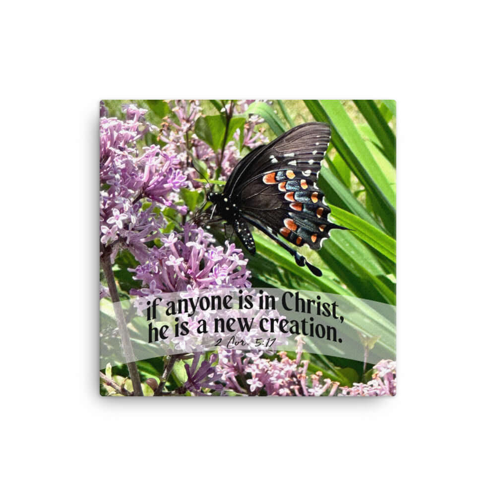2 Corinthians 5:17 Bible Verse, Butterfly Canvas Print Wall Art 12″×12″