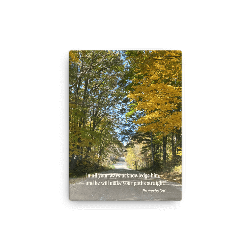 Proverbs 3:6 Bible Verse, Fall Road Canvas Print Wall Art 12″×16″