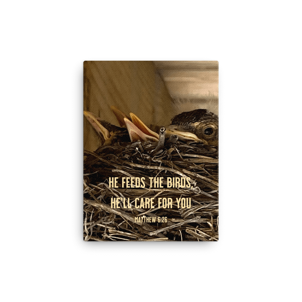 Matthew 6:26 Baby Robins, He'll Care for You Canvas Print Wall Art 12″×16″