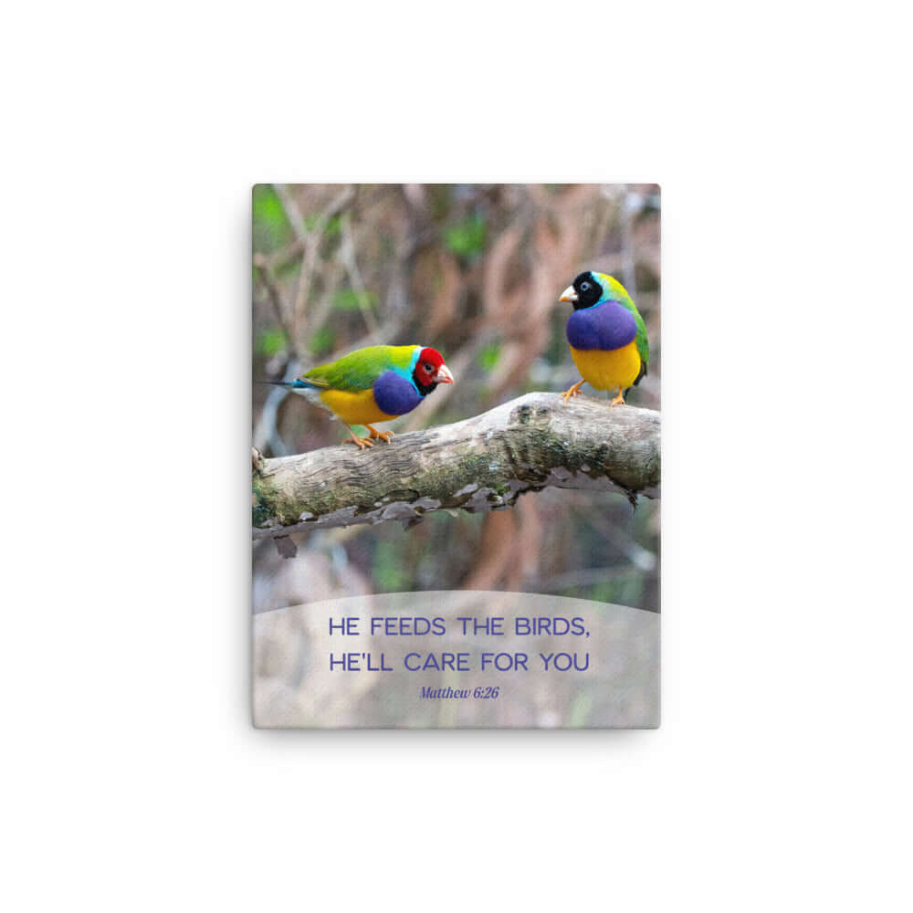 Matthew 6:26 Gouldian Finches, He'll Care for You Canvas Print Wall Art 12″×16″