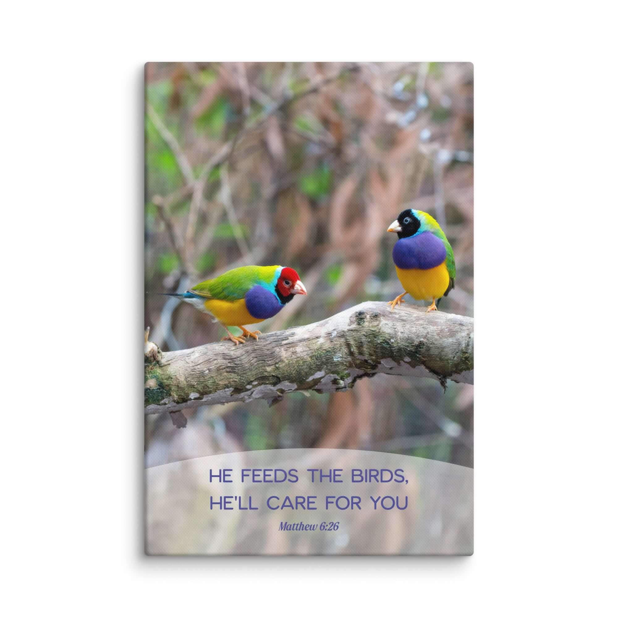 Matthew 6:26 Gouldian Finches, He'll Care for You Canvas Print Wall Art 12″×18″