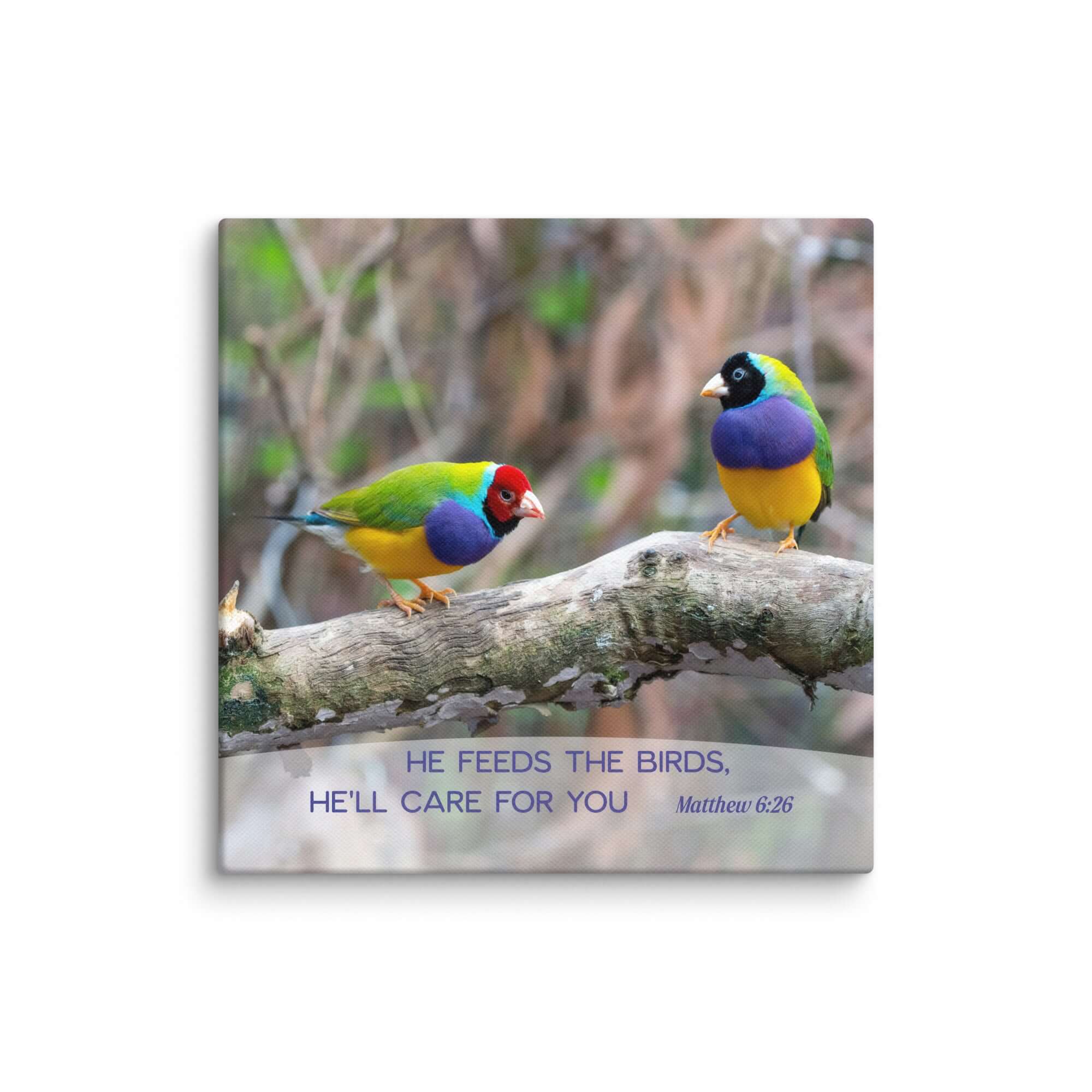 Matthew 6:26 Gouldian Finches, He'll Care for You Canvas Print Wall Art 14″×14″