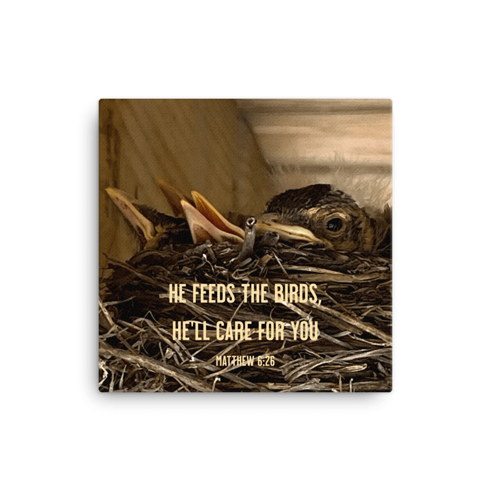 Matthew 6:26 Baby Robins, He'll Care for You Canvas Print Wall Art 16″×16″
