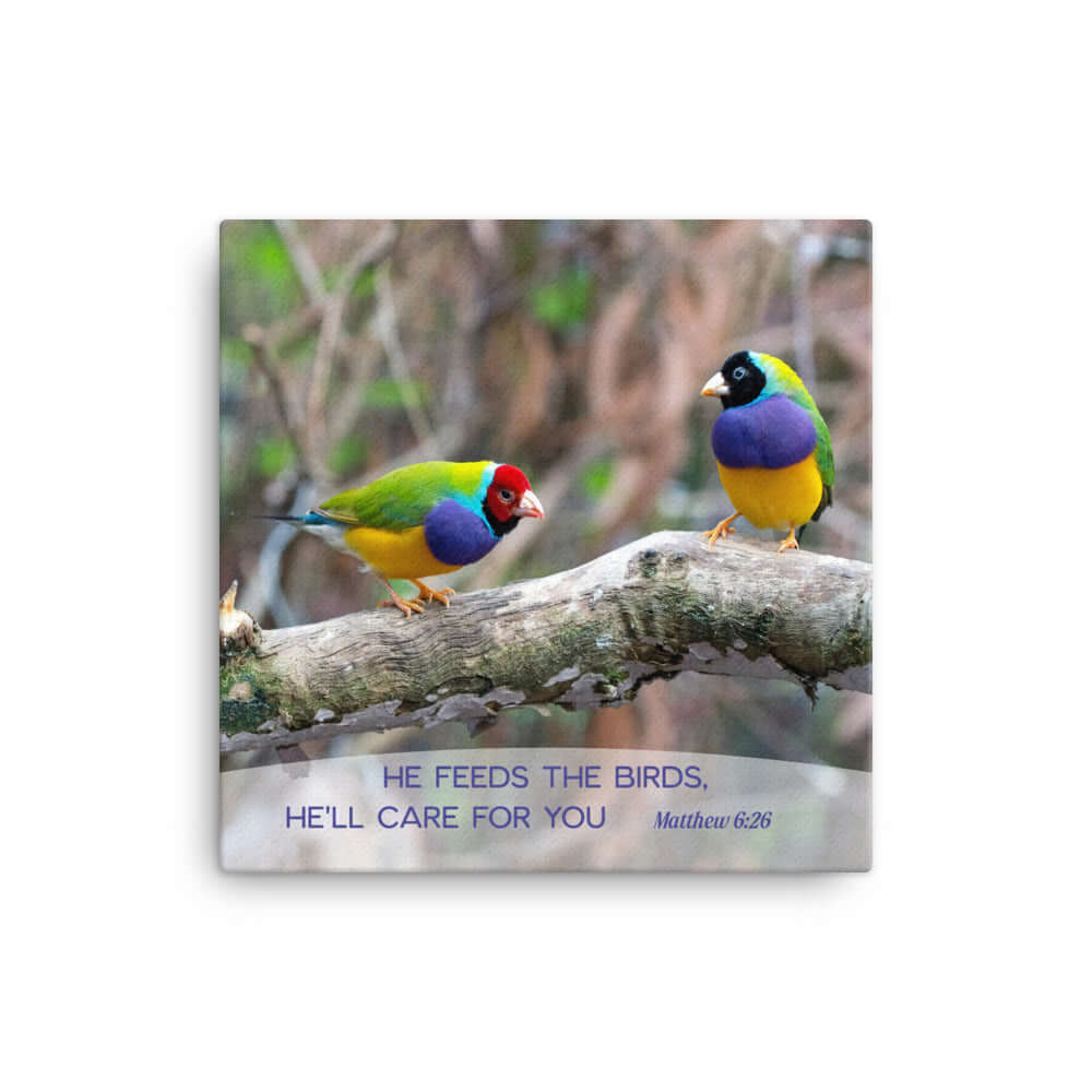 Matthew 6:26 Gouldian Finches, He'll Care for You Canvas Print Wall Art 16″×16″