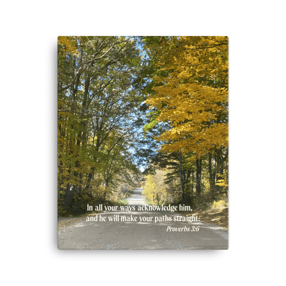 Proverbs 3:6 Bible Verse, Fall Road Canvas Print Wall Art 16″×20″