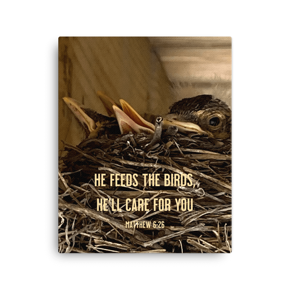 Matthew 6:26 Baby Robins, He'll Care for You Canvas Print Wall Art 16″×20″