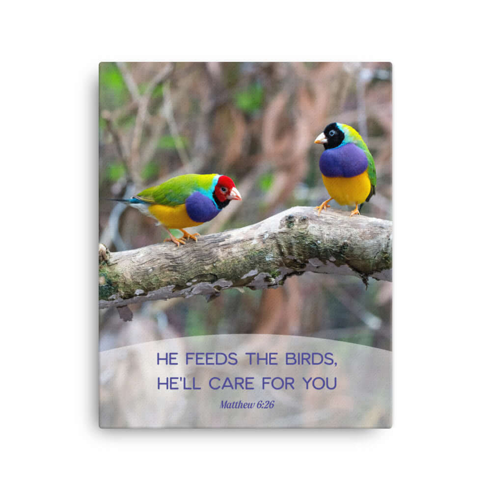 Matthew 6:26 Gouldian Finches, He'll Care for You Canvas Print Wall Art 16″×20″