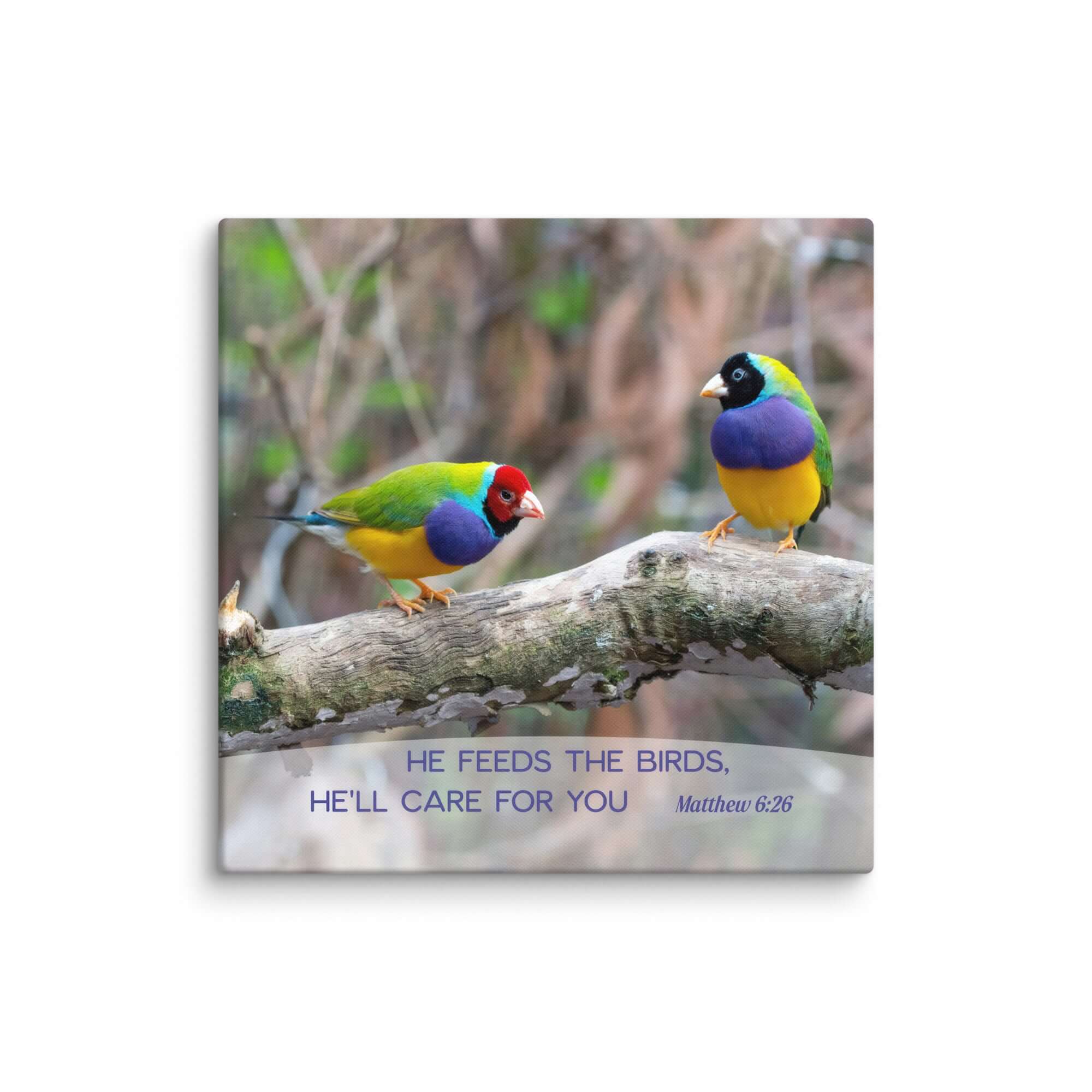 Matthew 6:26 Gouldian Finches, He'll Care for You Canvas Print Wall Art 18″×18″