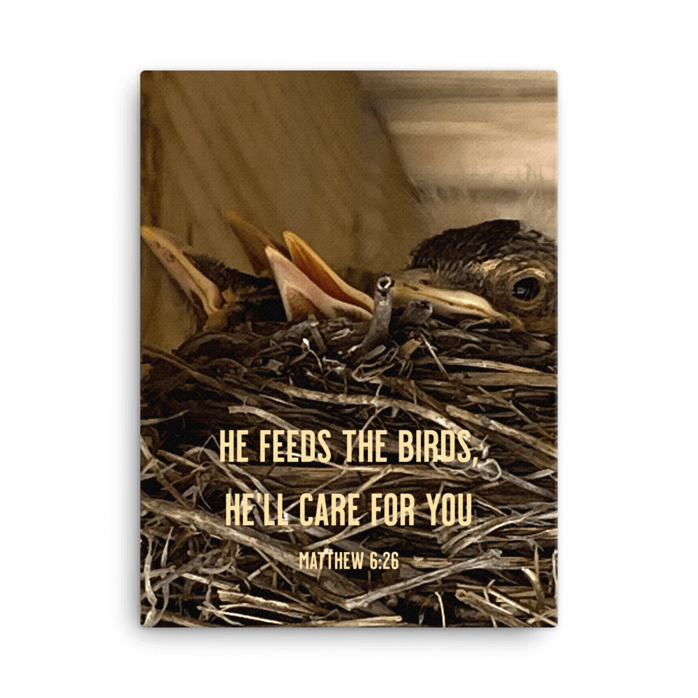 Matthew 6:26 Baby Robins, He'll Care for You Canvas Print Wall Art 18″×24″