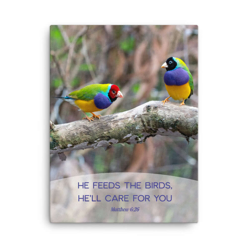 Matthew 6:26 Gouldian Finches, He'll Care for You Canvas Print Wall Art 18″×24″
