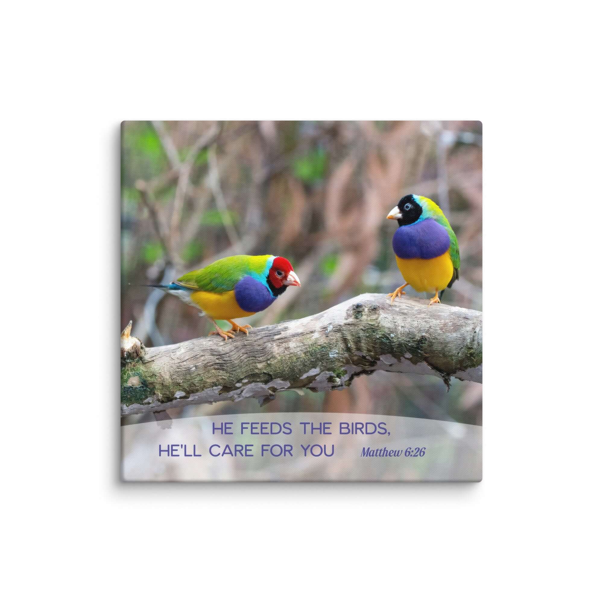 Matthew 6:26 Gouldian Finches, He'll Care for You Canvas Print Wall Art 20″×20″