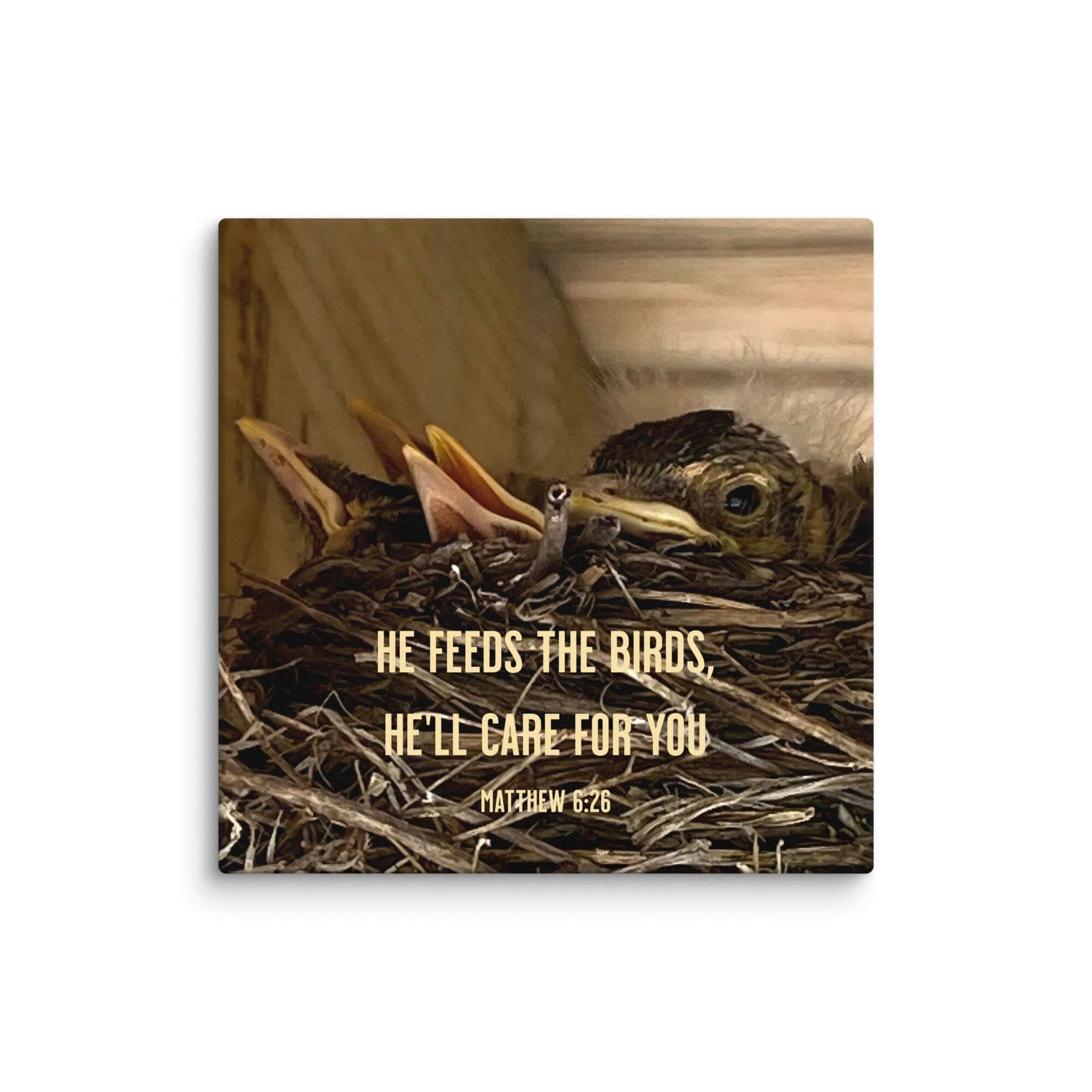 Matthew 6:26 Baby Robins, He'll Care for You Canvas Print Wall Art 20″×20″