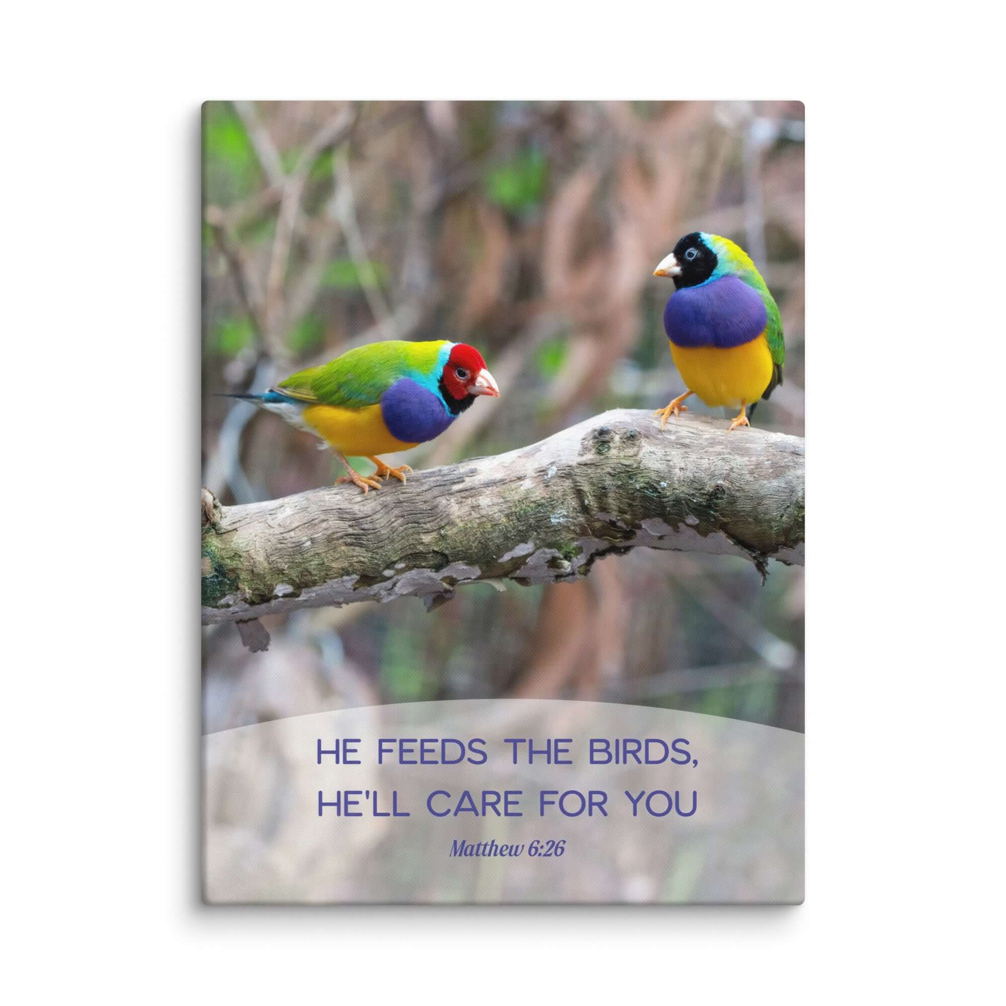 Matthew 6:26 Gouldian Finches, He'll Care for You Canvas Print Wall Art 24″×32″