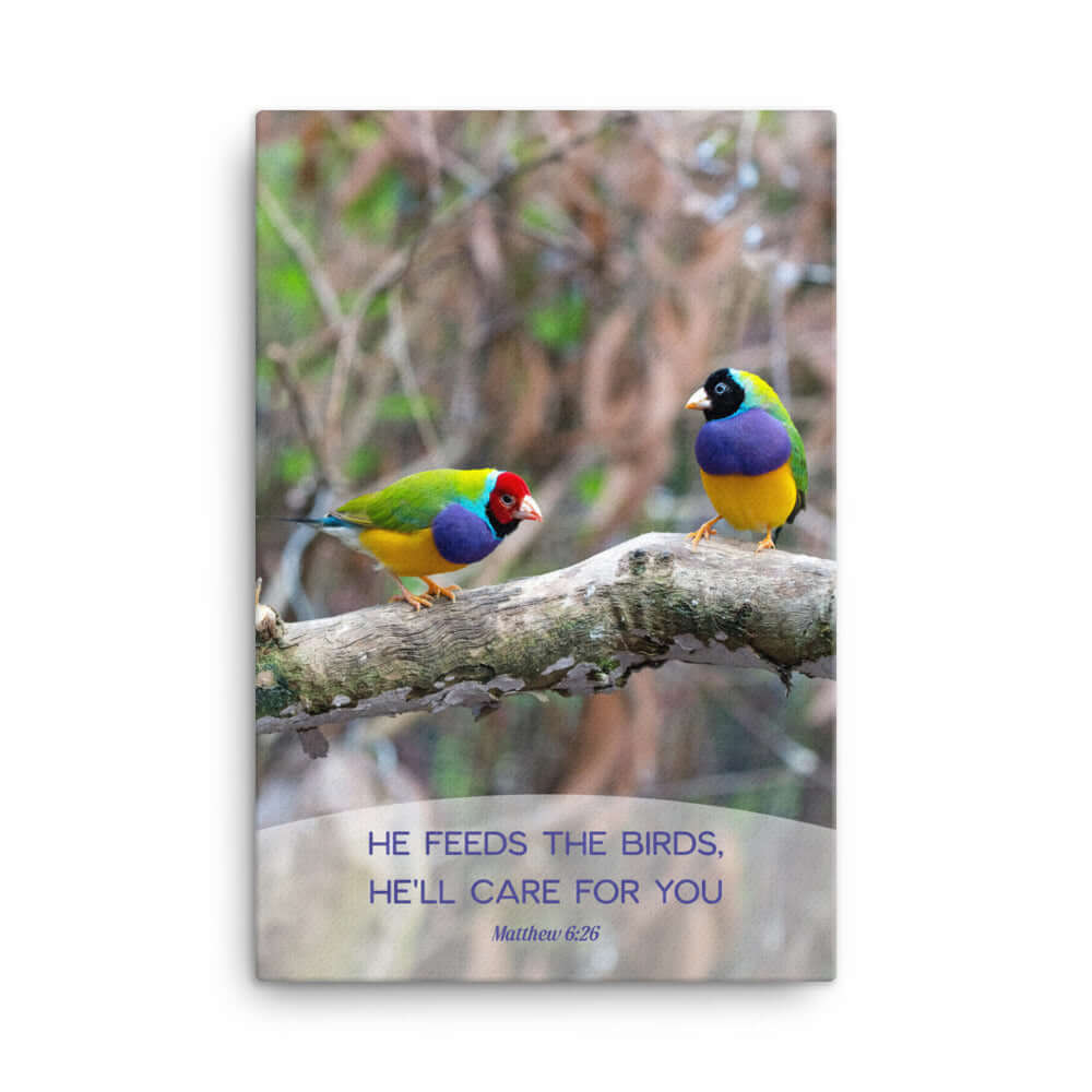 Matthew 6:26 Gouldian Finches, He'll Care for You Canvas Print Wall Art 24″×36″