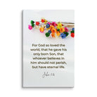 John 3:16 Bible Verse, He gave His Son Canvas Print Wall Art 24″×36″