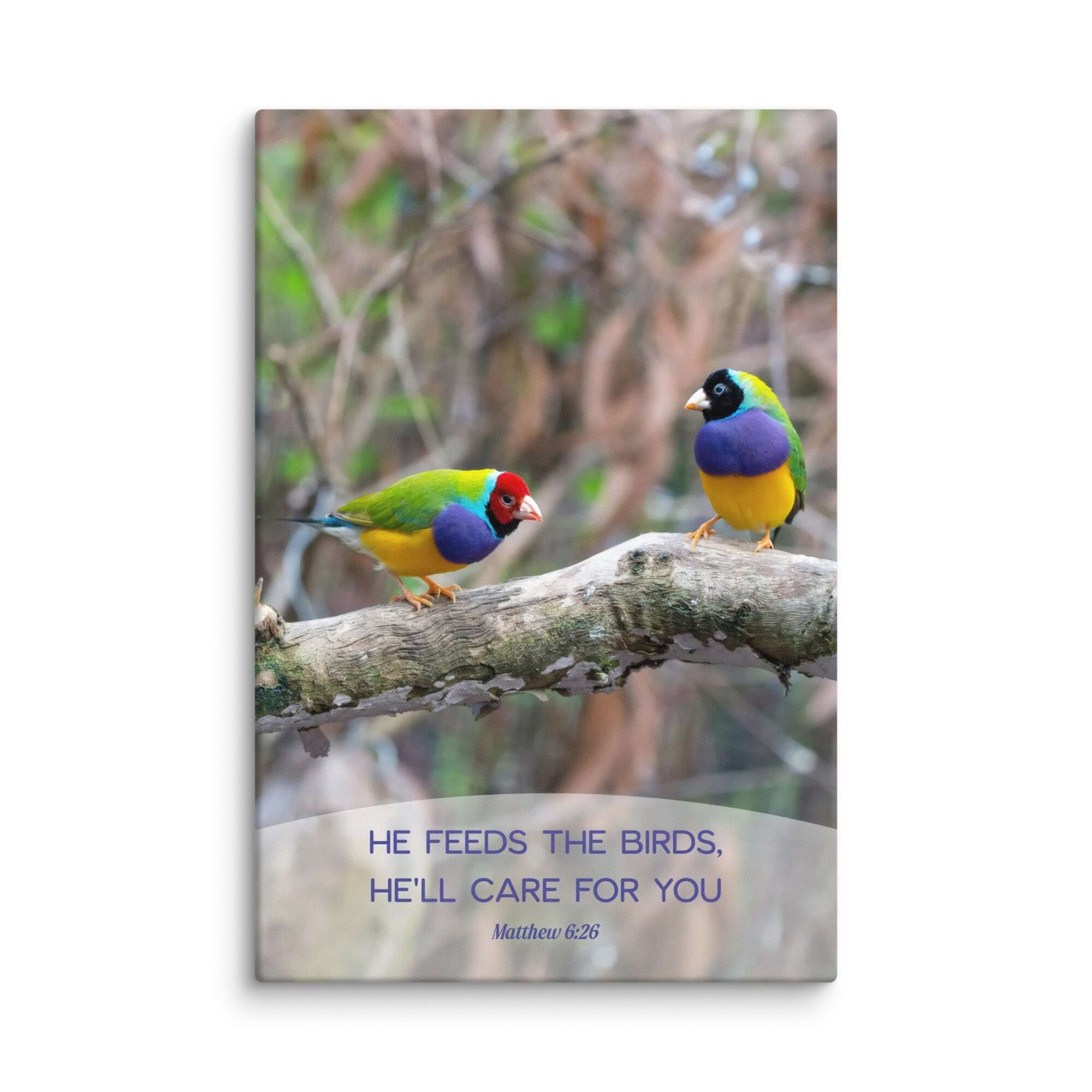 Matthew 6:26 Gouldian Finches, He'll Care for You Canvas Print Wall Art 32″×48″