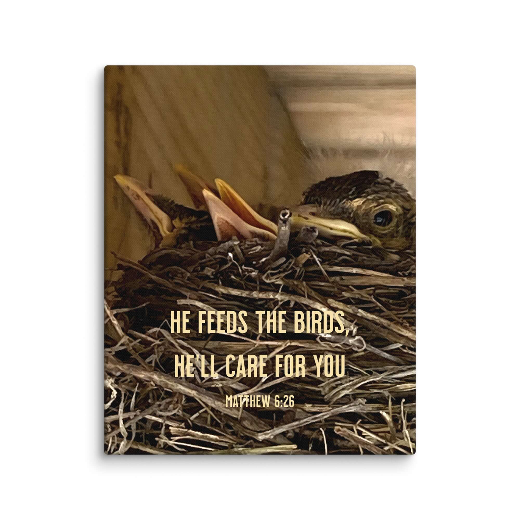 Matthew 6:26 Baby Robins, He'll Care for You Canvas Print Wall Art 8″×10″