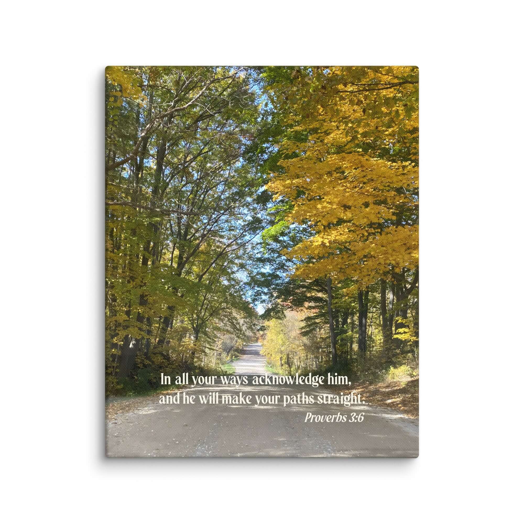 Proverbs 3:6 Bible Verse, Fall Road Canvas Print Wall Art 8″×10″