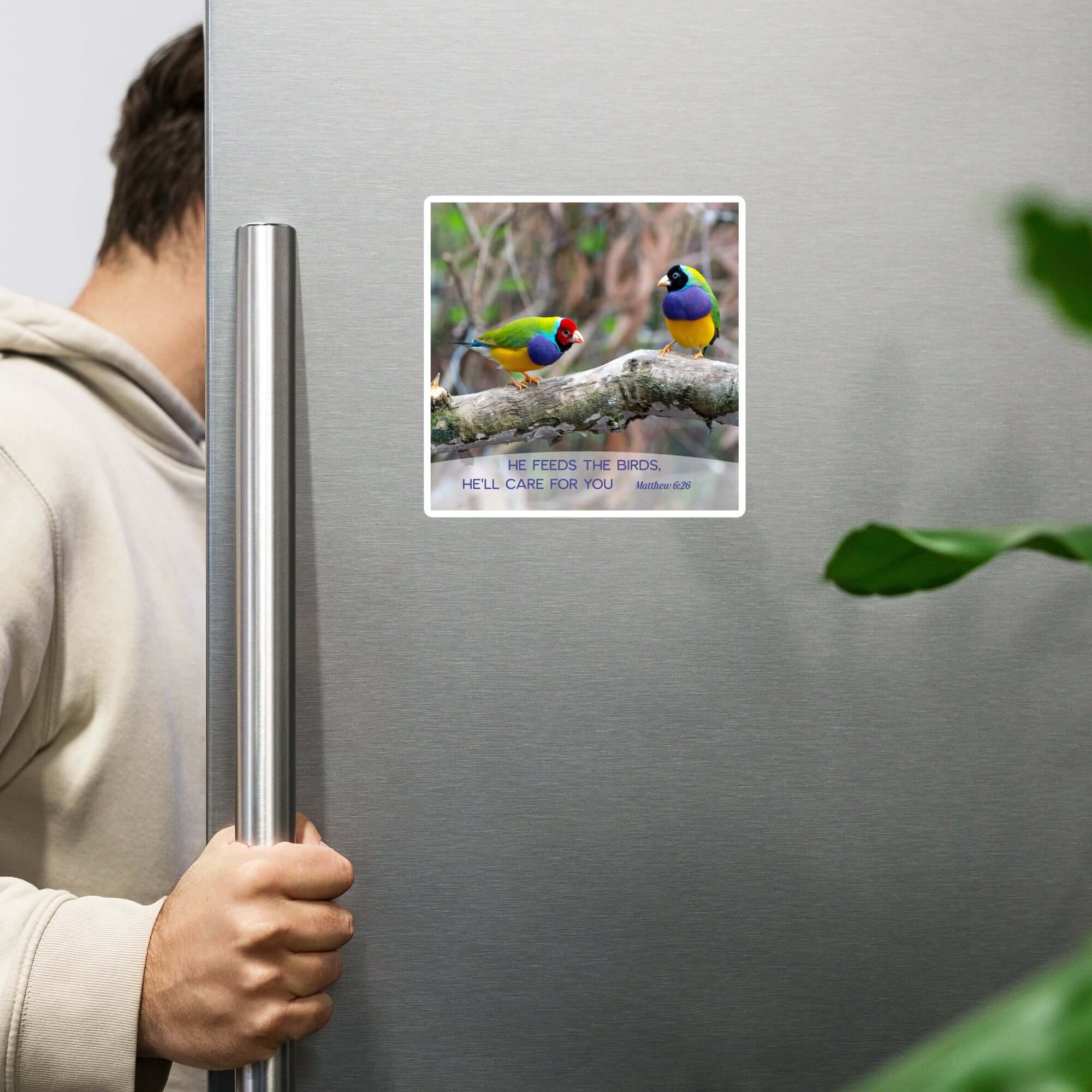 Matthew 6:26 Gouldian Finches, He'll Care for You Die-Cut Magnet Home Decor 6″×6″