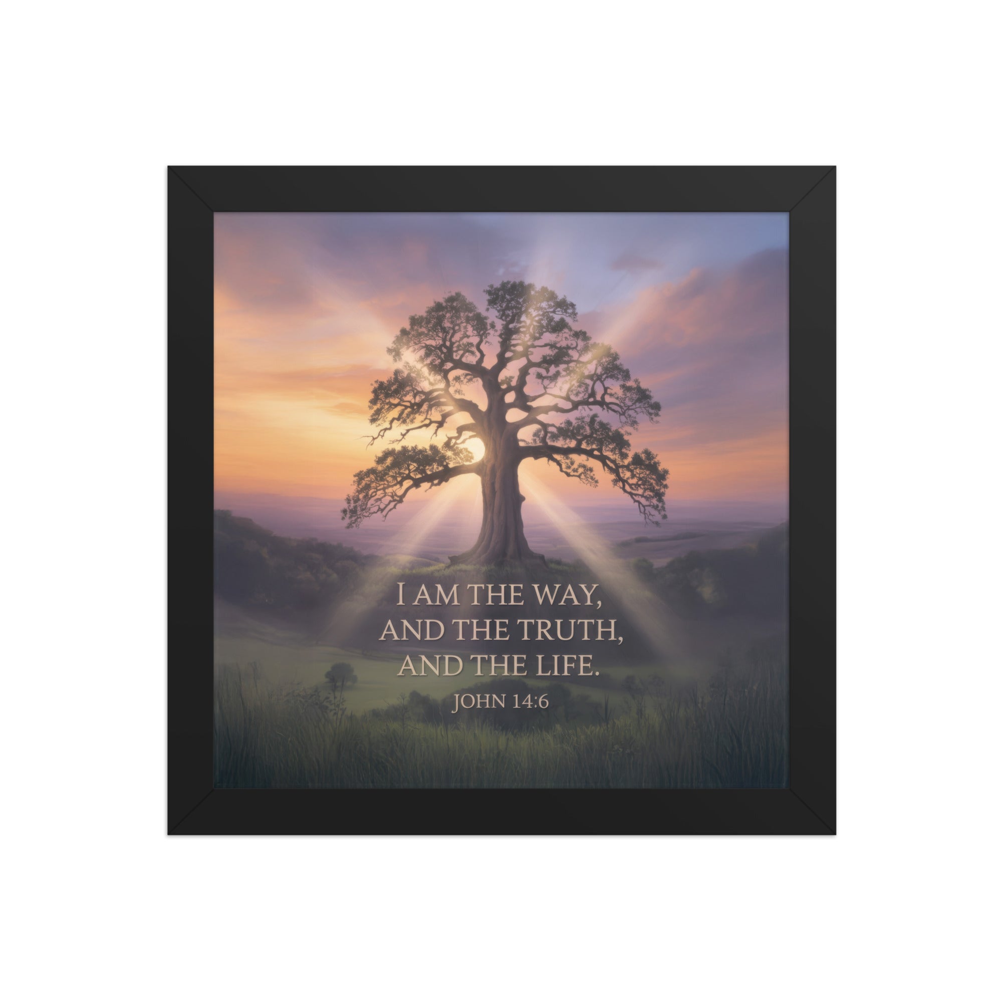 John 14:6 Bible Verse Jesus said Enhanced Matte Paper Framed Poster Black 10″×10″