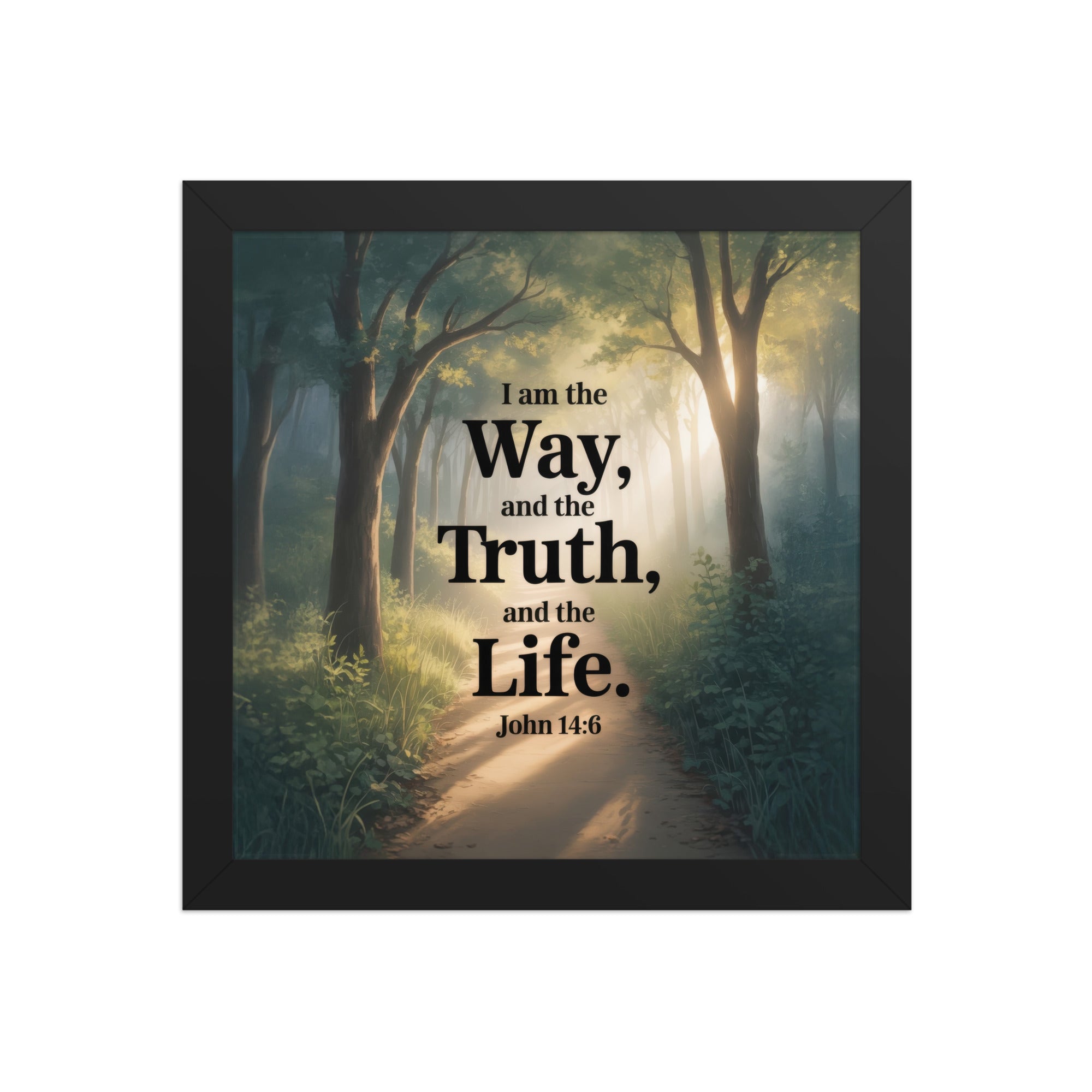 John 14:6 Bible Verse The Life Enhanced Matte Paper Framed Poster Black 10″×10″