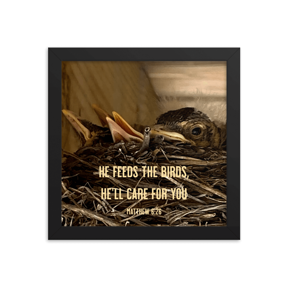 Matthew 6:26 Baby Robins, He'll Care for You Enhanced Matte Paper Framed Poster Wall Art Black 10″×10″