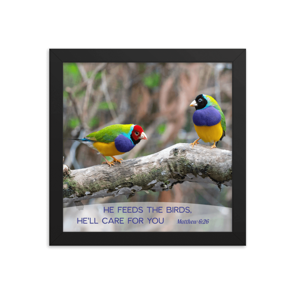 Matthew 6:26 Gouldian Finches, He'll Care for You Enhanced Matte Paper Framed Poster Wall Art Black 10″×10″