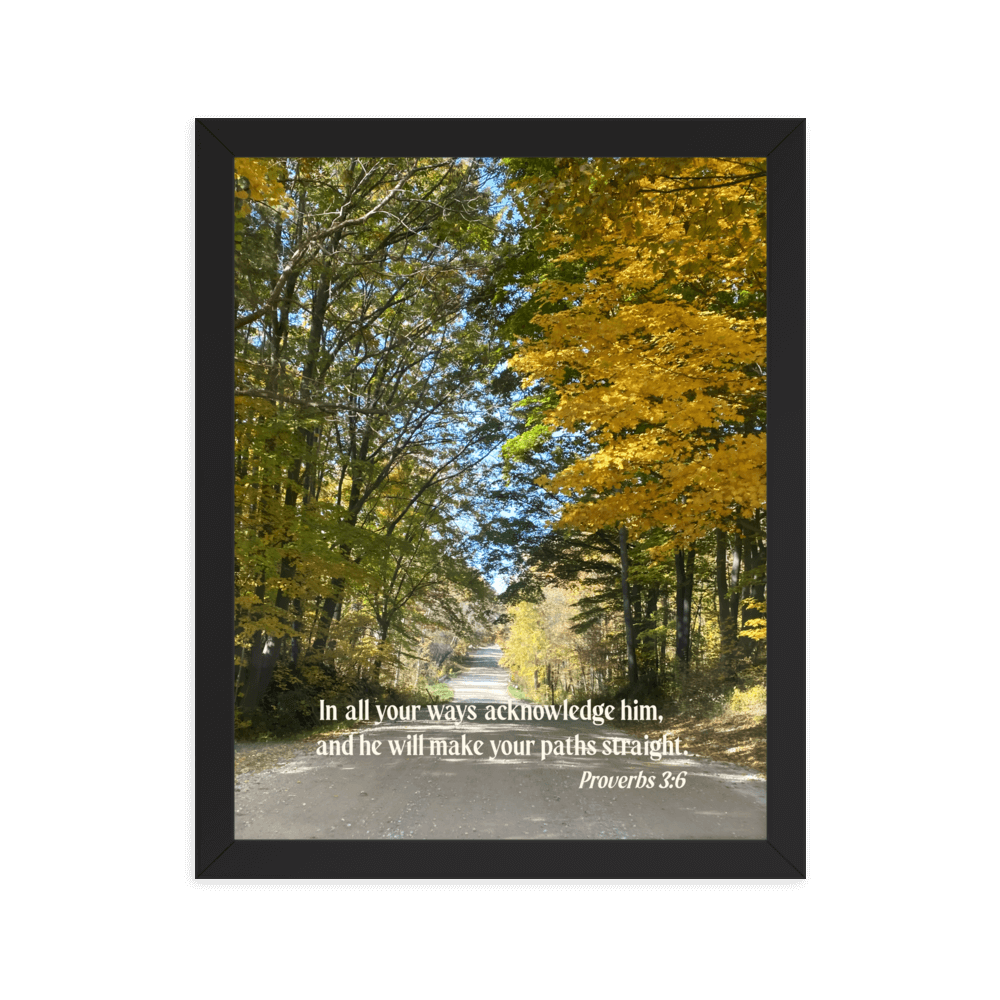 Proverbs 3:6 Bible Verse, Fall Road Enhanced Matte Paper Framed Poster Wall Art Black 11″×14″