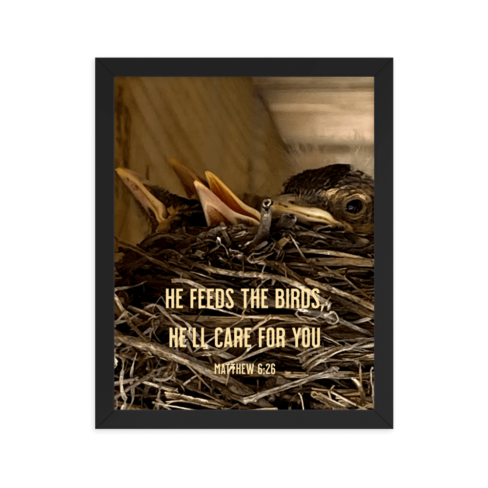 Matthew 6:26 Baby Robins, He'll Care for You Enhanced Matte Paper Framed Poster Wall Art Black 11″×14″
