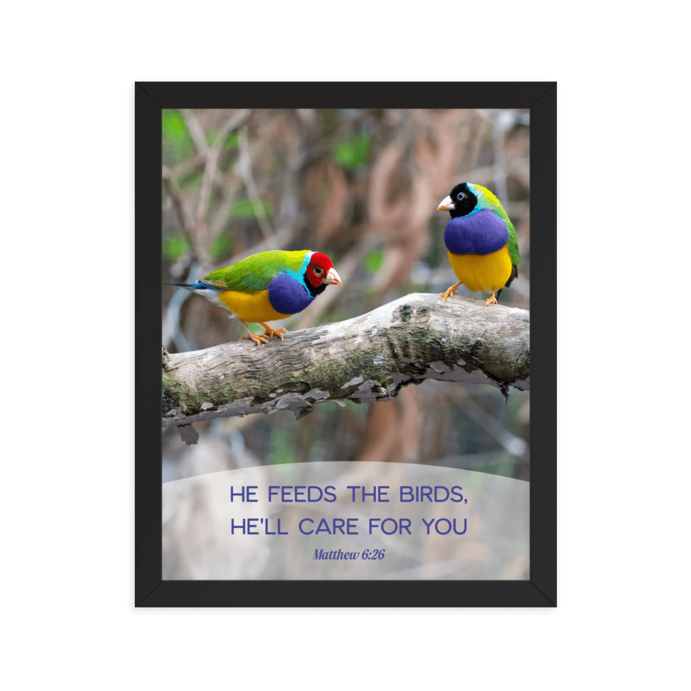 Matthew 6:26 Gouldian Finches, He'll Care for You Enhanced Matte Paper Framed Poster Wall Art Black 11″×14″
