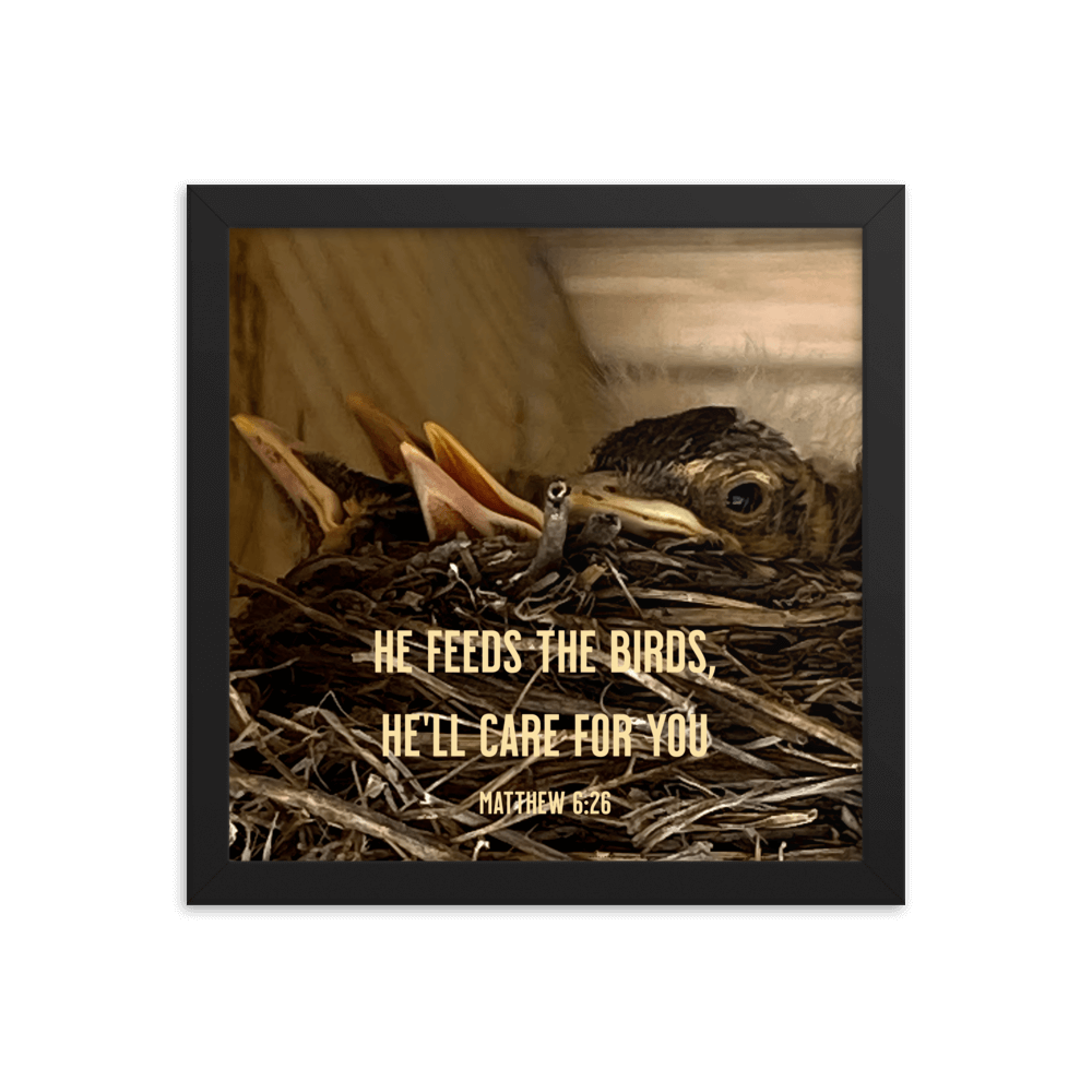 Matthew 6:26 Baby Robins, He'll Care for You Enhanced Matte Paper Framed Poster Wall Art Black 12″×12″