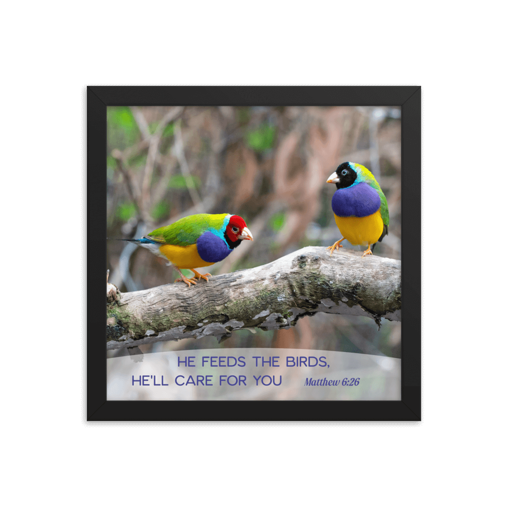 Matthew 6:26 Gouldian Finches, He'll Care for You Enhanced Matte Paper Framed Poster Wall Art Black 12″×12″
