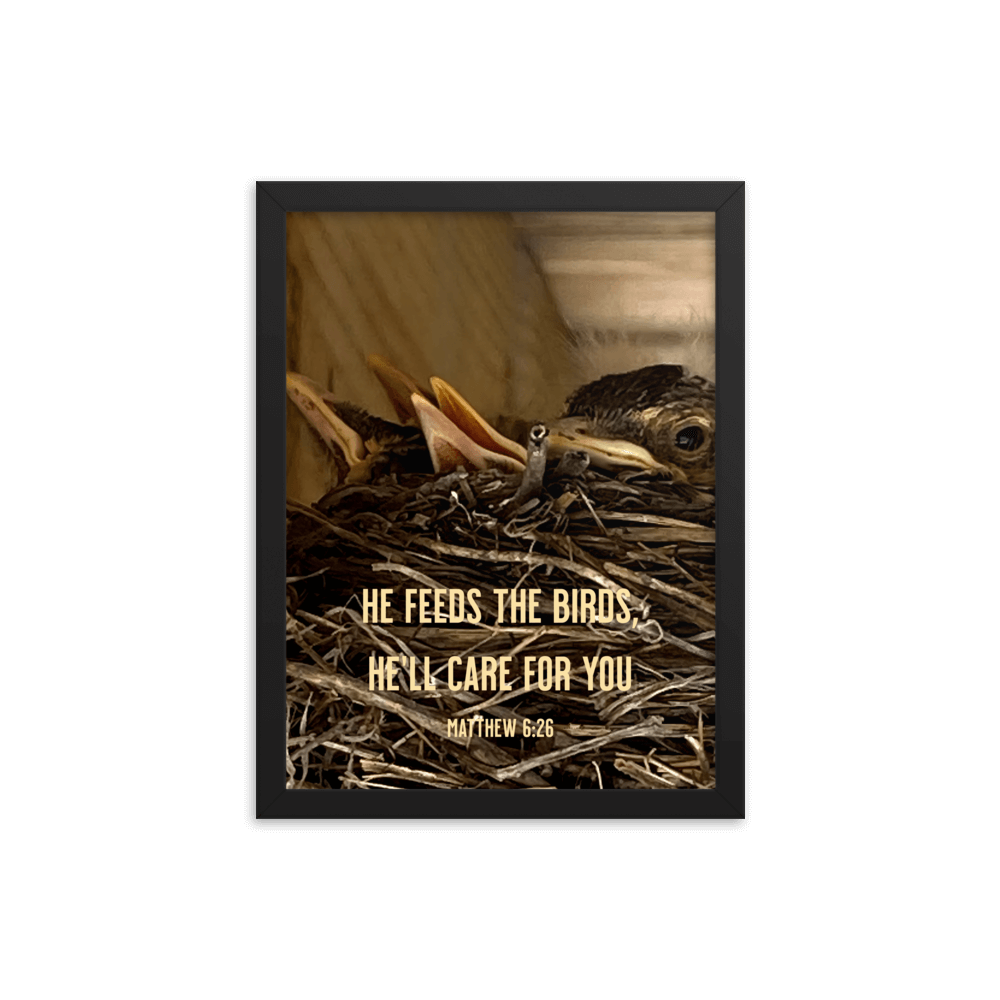 Matthew 6:26 Baby Robins, He'll Care for You Enhanced Matte Paper Framed Poster Wall Art Black 12″×16″