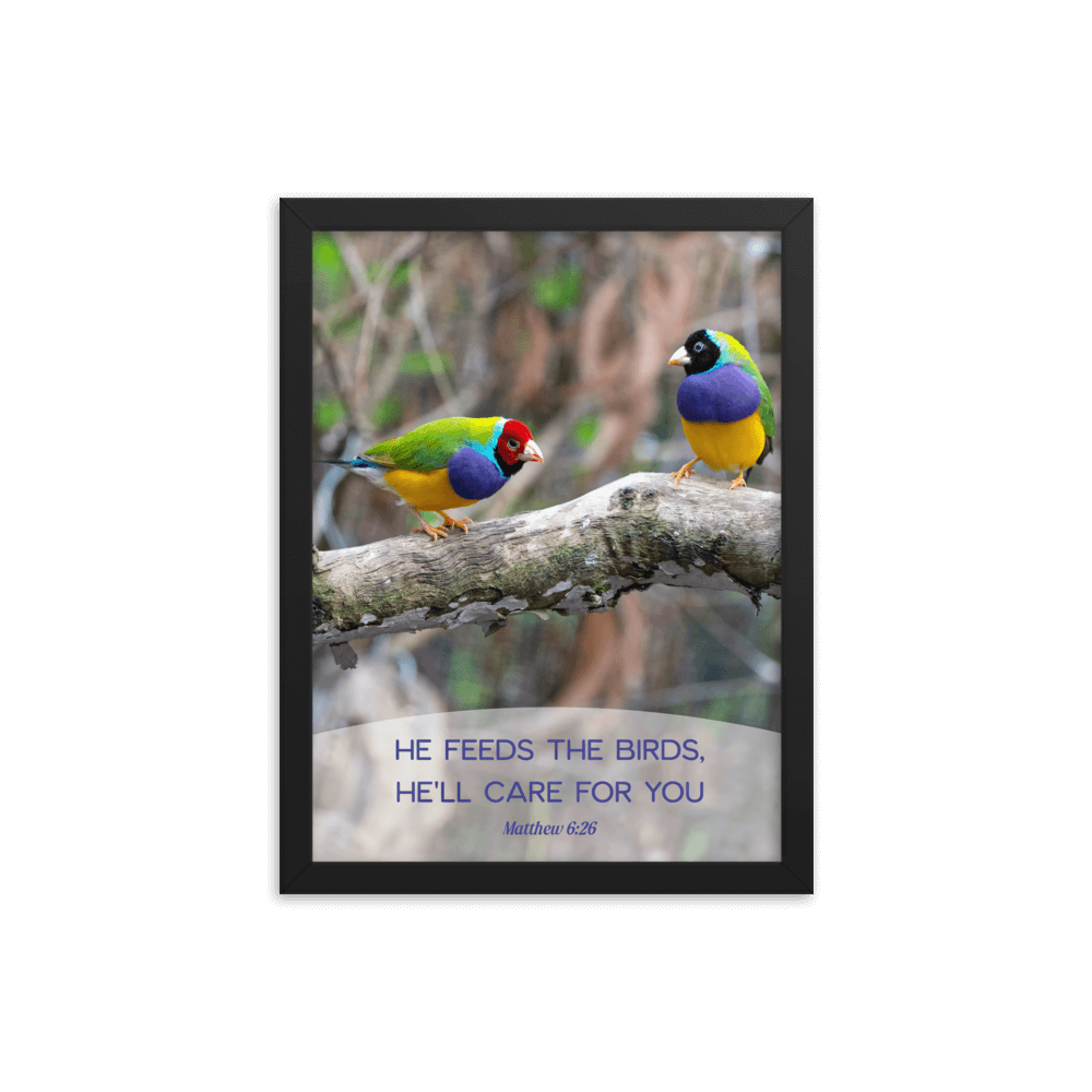 Matthew 6:26 Gouldian Finches, He'll Care for You Enhanced Matte Paper Framed Poster Wall Art Black 12″×16″