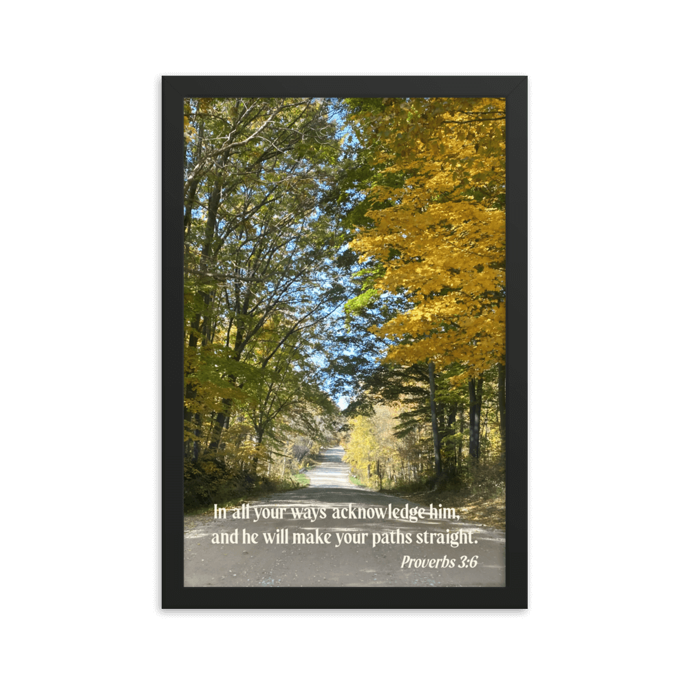Proverbs 3:6 Bible Verse, Fall Road Enhanced Matte Paper Framed Poster Wall Art Black 12″×18″