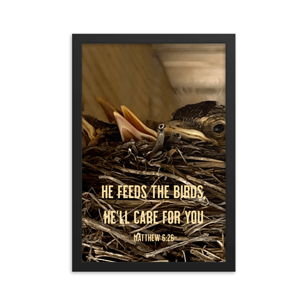 Matthew 6:26 Baby Robins, He'll Care for You Enhanced Matte Paper Framed Poster Wall Art Black 12″×18″