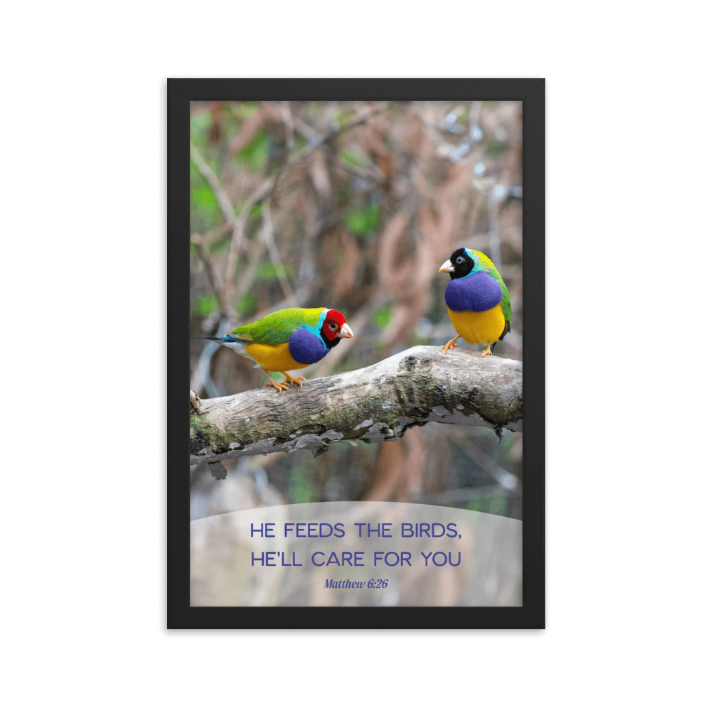 Matthew 6:26 Gouldian Finches, He'll Care for You Enhanced Matte Paper Framed Poster Wall Art Black 12″×18″
