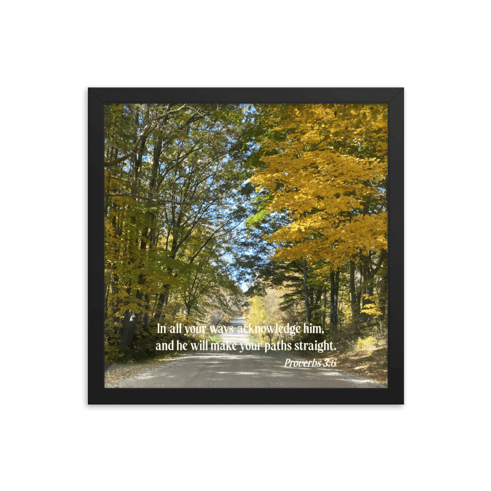 Proverbs 3:6 Bible Verse, Fall Road Enhanced Matte Paper Framed Poster Wall Art Black 14″×14″