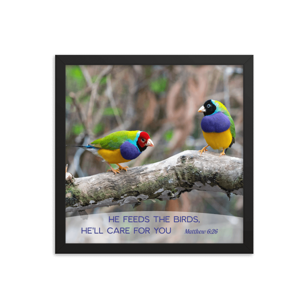 Matthew 6:26 Gouldian Finches, He'll Care for You Enhanced Matte Paper Framed Poster Wall Art Black 14″×14″