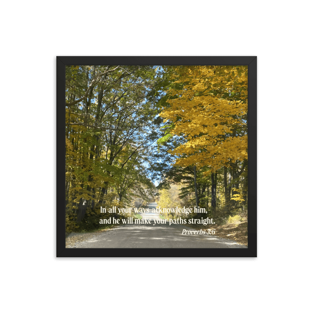 Proverbs 3:6 Bible Verse, Fall Road Enhanced Matte Paper Framed Poster Wall Art Black 16″×16″