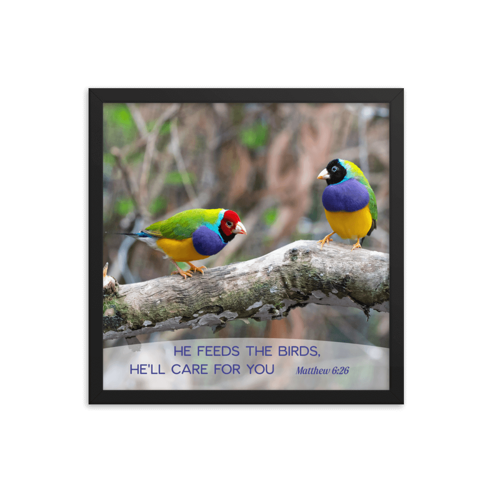 Matthew 6:26 Gouldian Finches, He'll Care for You Enhanced Matte Paper Framed Poster Wall Art Black 16″×16″