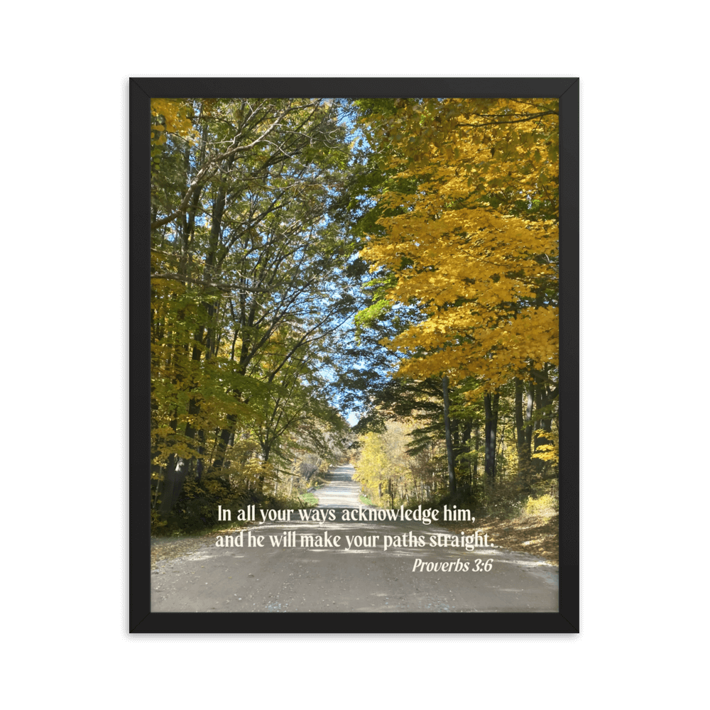 Proverbs 3:6 Bible Verse, Fall Road Enhanced Matte Paper Framed Poster Wall Art Black 16″×20″