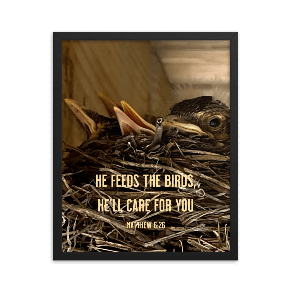 Matthew 6:26 Baby Robins, He'll Care for You Enhanced Matte Paper Framed Poster Wall Art Black 16″×20″