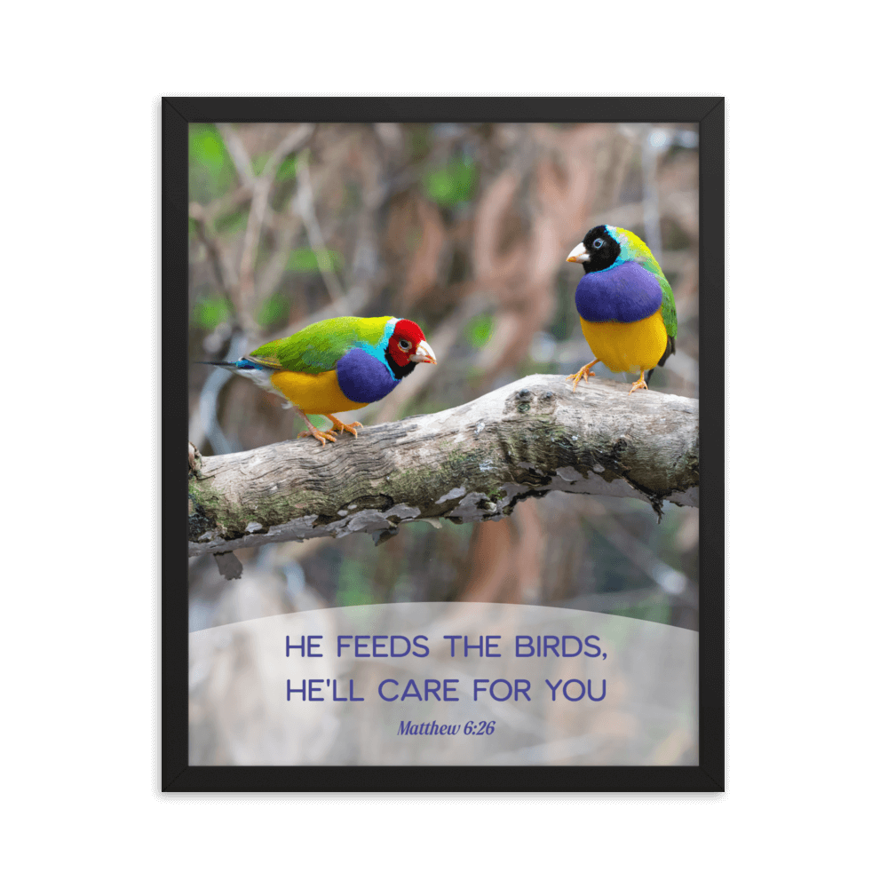 Matthew 6:26 Gouldian Finches, He'll Care for You Enhanced Matte Paper Framed Poster Wall Art Black 16″×20″