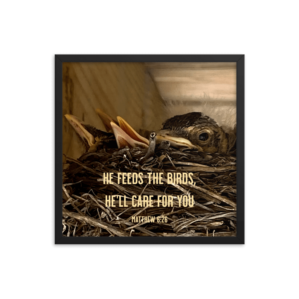 Matthew 6:26 Baby Robins, He'll Care for You Enhanced Matte Paper Framed Poster Wall Art Black 18″×18″