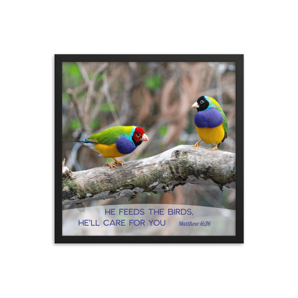 Matthew 6:26 Gouldian Finches, He'll Care for You Enhanced Matte Paper Framed Poster Wall Art Black 18″×18″